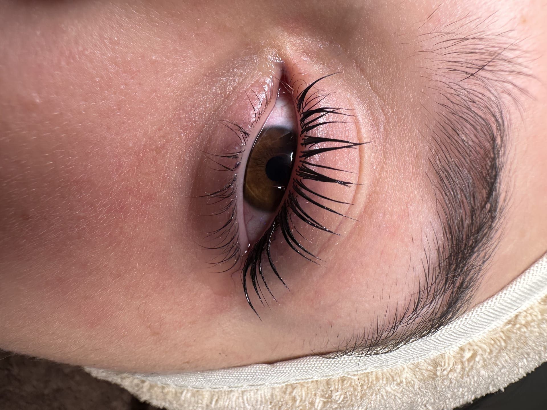 Detalle del tratamiento de cejas & pestañas