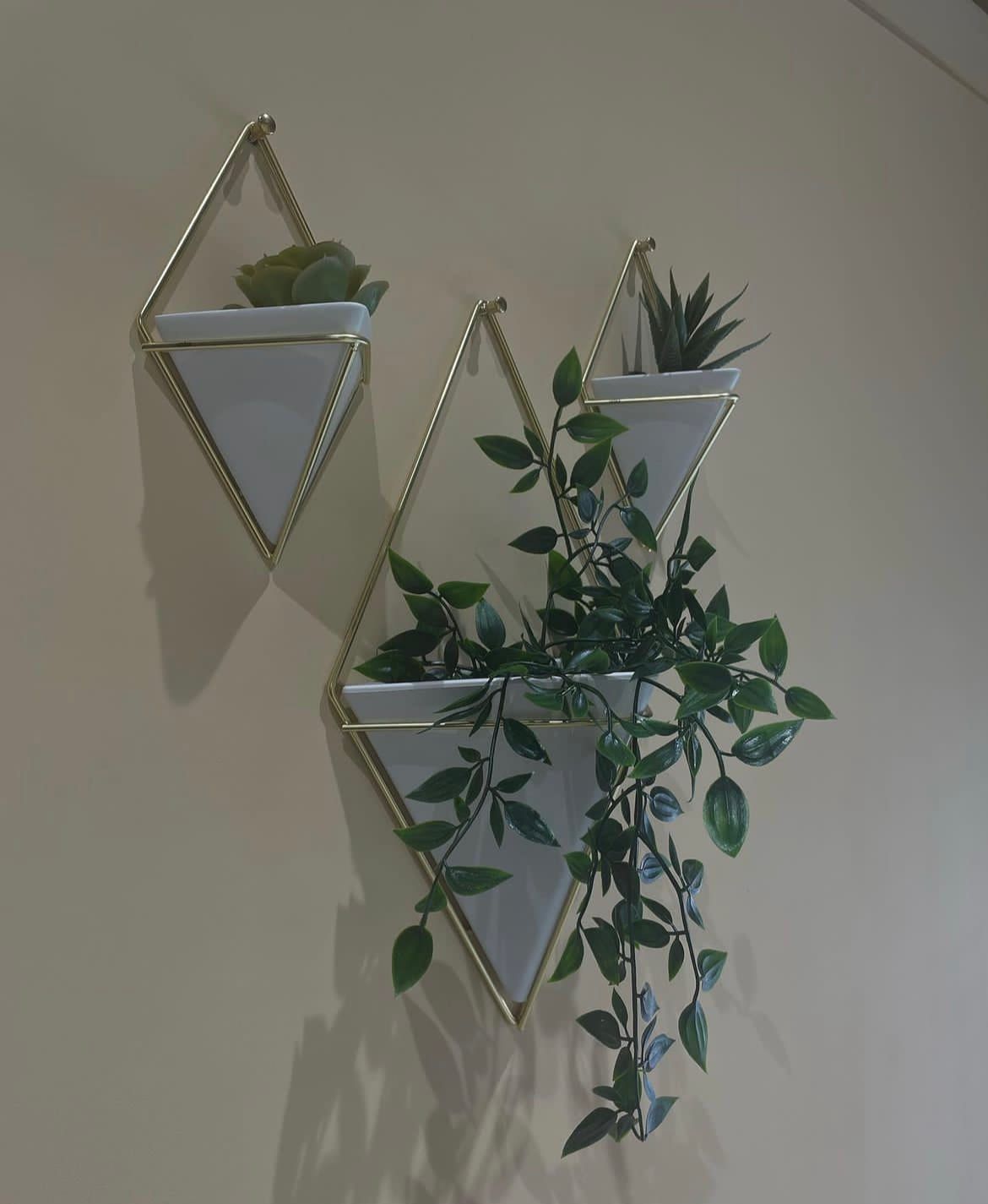 Ambiente zen